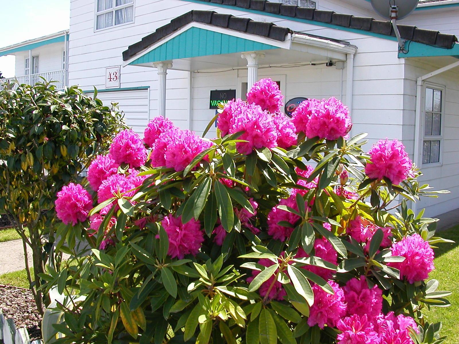 Motel Kerry's